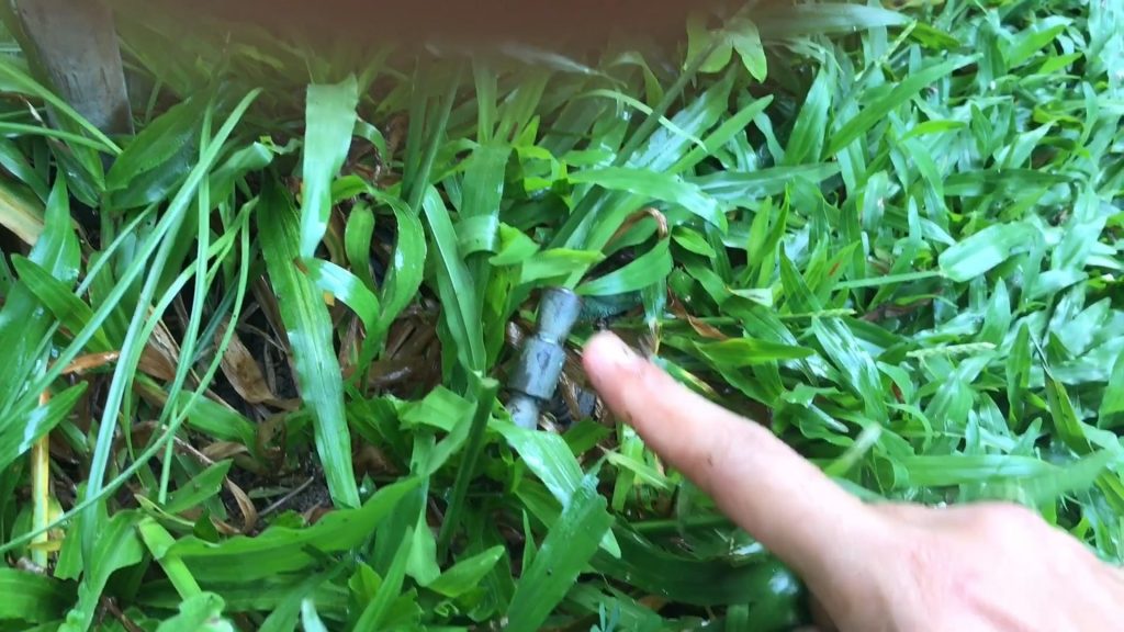 Tukar Sendiri Filter Kabin: Jimat Lebih RM50